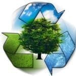 Conceitos Fundamentais de Ecologia