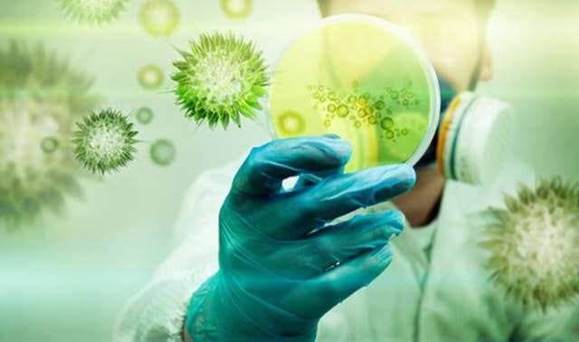 Um cientista segurando uma placa de Petri com algum patógeno e ao redor micro-organismo semelhantes aos vírus, representando a biorremediação.