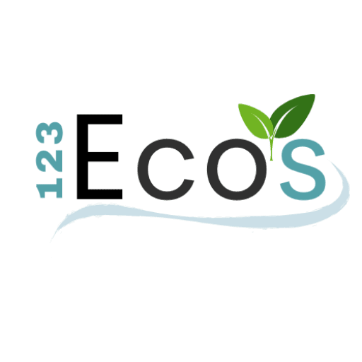 logo 123 ecos