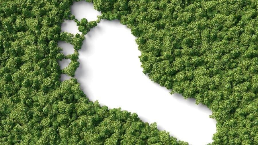 A marca de um pé branco está estampada em uma grande floresta e representa a pegada de carbono o que é