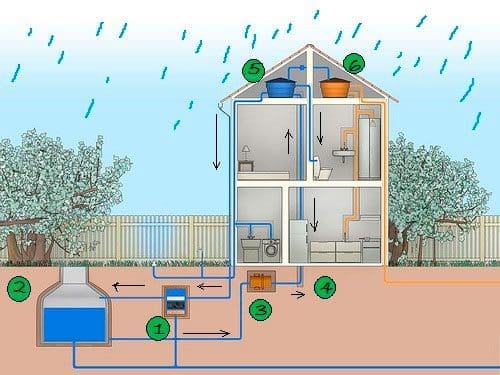 Coleta de água da chuva – solução sustentável para o planeta