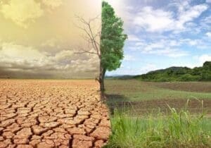 Desertificação