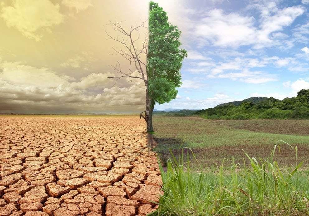 Desertificação