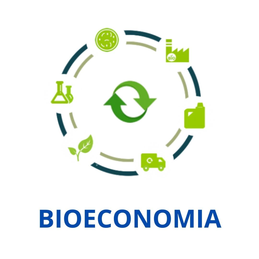 Bioeconomia no Brasil - conceito para uma economia sustentável