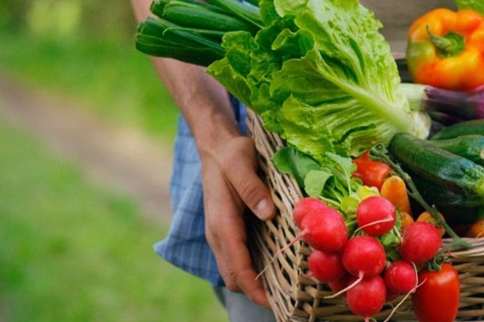 Uma pessoa segura uma caixa de alimentos produzidos pela agricultura natural