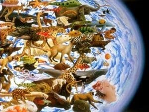 Diversidade de ecossistemas representado em ilustração do globo terrestre com várias espécies de animais.