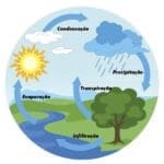 Ilustração do ciclo da água, a nuvem carregada se precipita e infiltra no solo, essa água abastece o rio e uma parte evapora, voltando à superfície.