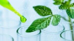 Uma pipeta gotejando em um copo e em uma folha verde, semelhante a um produto biotecnológico.