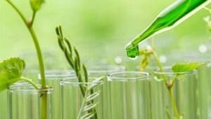 Tubos de ensaio com plantas verdes em crescimento e um líquido verde adicionado a eles por um conta-gotas, semelhante a solventes sustentáveis.