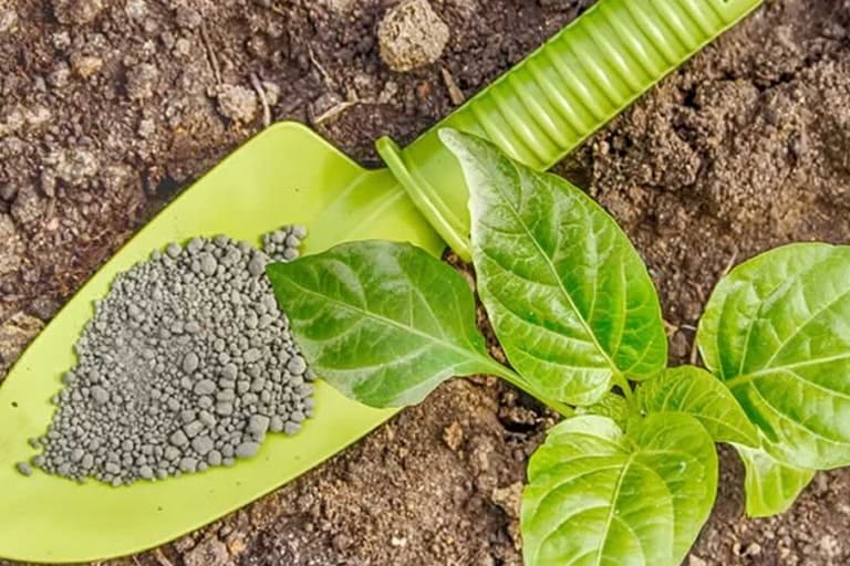Uma porção de terra com uma pá verde contendo bionematicidas em pó. Ao lado uma pequena muda com folhas verdes.