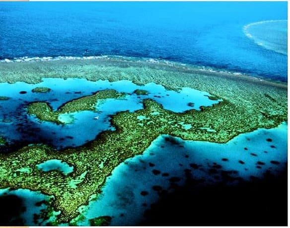 Vista aérea da Grande Barreira de Corais, com águas cristalinas em tons de azul e verde, revelando recifes coloridos e formações de corais submersos.