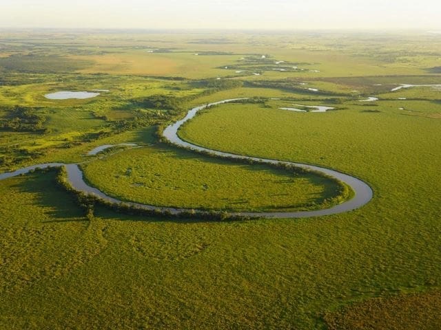 Parque Nacional de Ilha Grande com rio desenhando trajeto sinuoso por mata fechada
