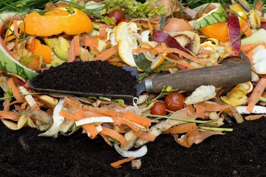 A mostra resíduos orgânicos como casca de frutas e vegetais, e uma pá com terra, representando o que é biodegradação e seus tipos