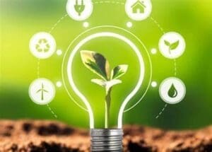 Uma muda de planta em uma lâmpada e ao redor vários ícones referentes a recursos energéticos renováveis.