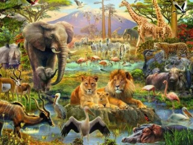 Ilustração representando várias comunidades biológicas: leões, tigres, girafas, rinocerontes, etc.