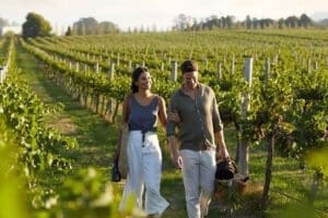 Um casal passeia em uma plantação de uma grande fazenda aberta ao turismo rural (agroturismo)