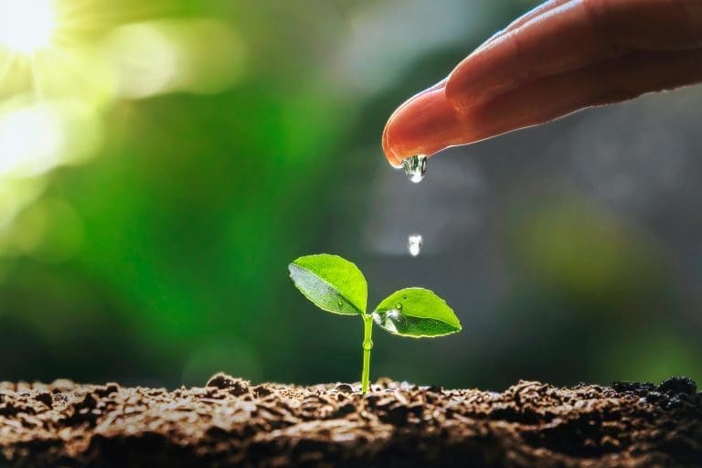Da ponta dos dedos escorre pingos de água em uma planta brotando, representando a ética ambiental