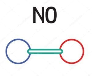 Dois círculos se ligam, representando o óxido nítrico